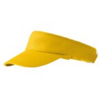 Sunvisor