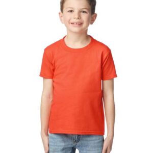 SOFTSTYLE® MIDWEIGHT YOUTH T-SHIRT