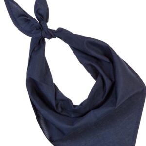 FIESTA - BANDANA