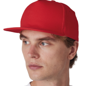 SNAPBACK CAP - 5 PANELS